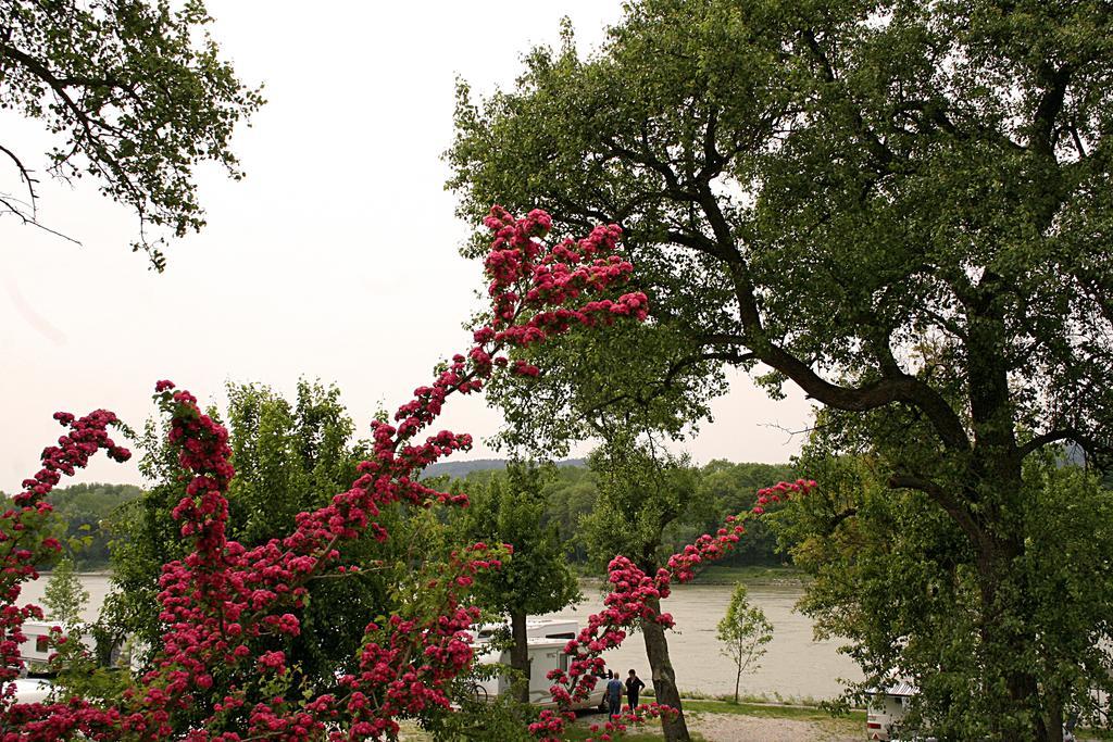 Gasthof-Camping Stumpfer Hotel Schönbühel an der Donau Pokój zdjęcie